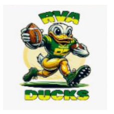 RVA Ducks