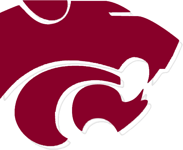Western Wildcats logo